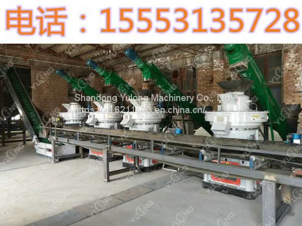3-4T/h Capacity Hard Wood Sawdust Pellet Making Machine photo-4