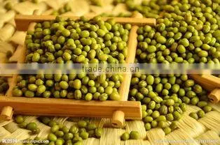 Organic Green Mung Bean photo-2