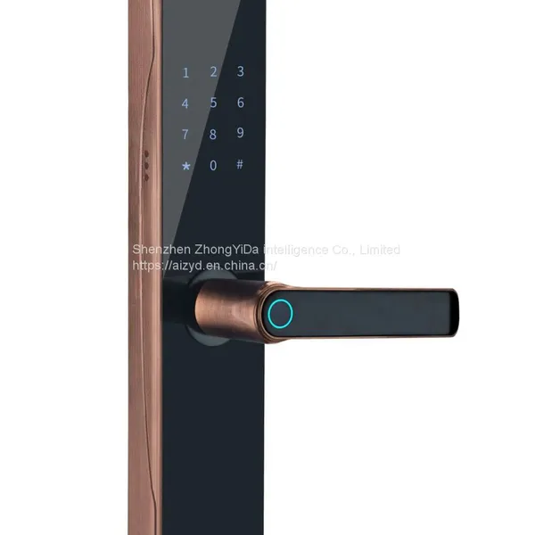 Smart Lock, Fingerprint Lock, Password Lock photo-2
