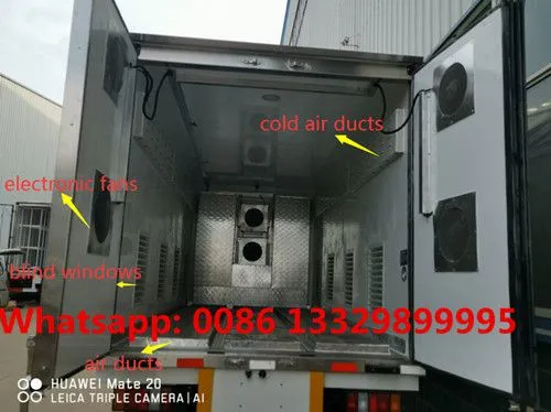 Factory Sale Good Price JAC Brand Diesel Day Old Chick Transported Truck for Sale photo-5