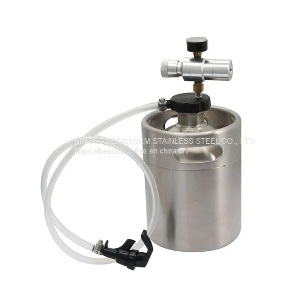 Stainless Steel Grade 304 Mini Keg Growler Kit Pressurized Growler Dispenser
