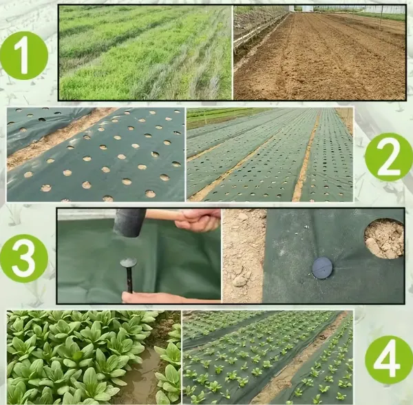 Premium Quality Weed Barrier Fabric for Agriculture and Landscaping Projects photo-3
