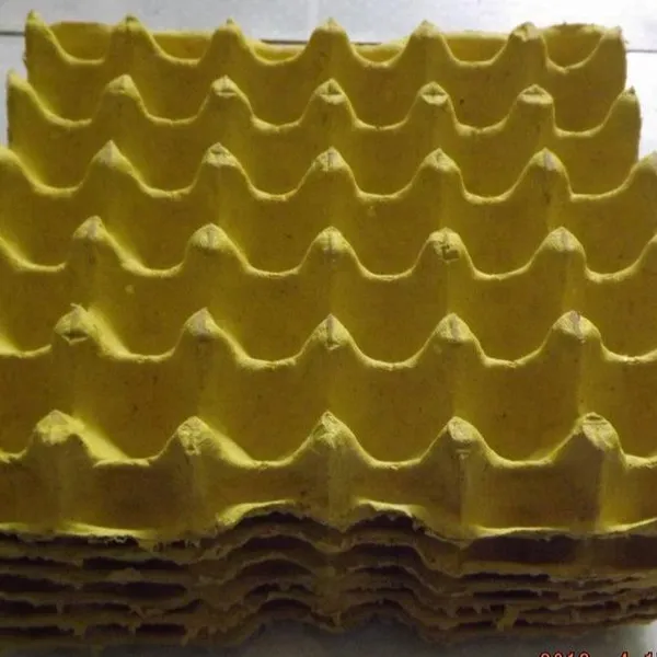 Production Line Machine Making Egg Tray