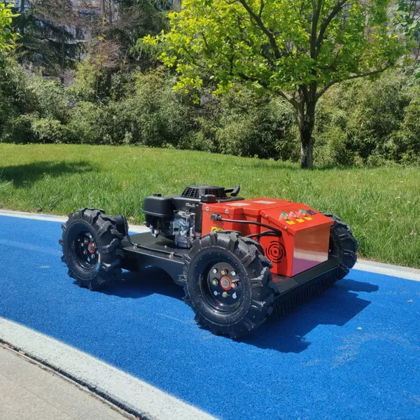 Brush Mower Lawn Mowers From China Mow the Lawn Euro 5/EPA Remote Controlled Garden Mower Zero Turn Vigorun Lawn Mower photo-2