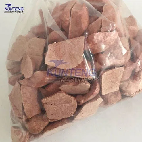 Low Temperature Freezing Pig Kidney Heart Liver Meat Lyophilize Freeze Dryer Dried Food Machine EPC photo-2