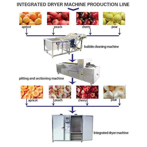 Dehydrated Pineapple Machine Fruit Dryer 220V Electric Heating Constant Temperature Drying Oven EPC photo-5