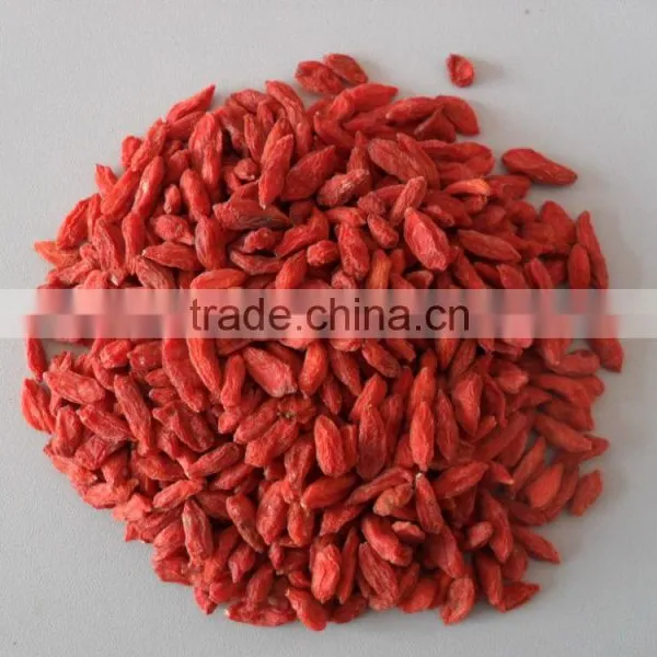 2015.2016Chinese Ningxia Goji Berry photo-2