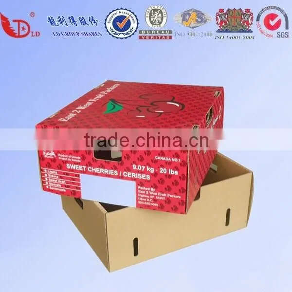 Hot Selling OEM Fruit Packing Boxes for Shipping photo-5