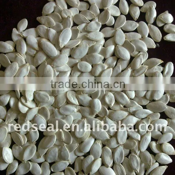 Hot Sale Snow White Pumpkin Seeds 2016 photo-6