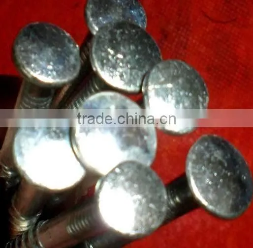 Ethiopia Market Good Quanlity Galvanized Twisted Nails