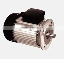 Single Phase Waterproof Motor