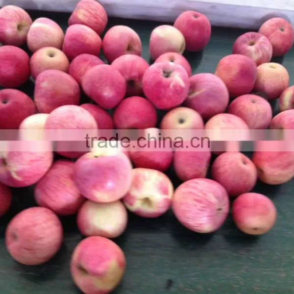 Hot Sell Red Qinguan Apples Shanxi Qinguan Apples Exporter photo-4