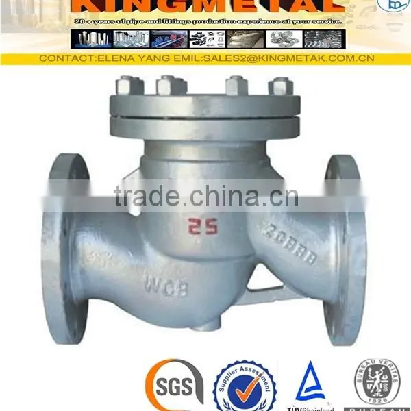 A351 Gr. CF8 Check Valve 8 Inch photo-3