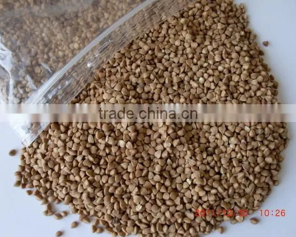 Chinese Roasted Buckwheat Kernel to GEORGIA AND RUSSIAN photo-3