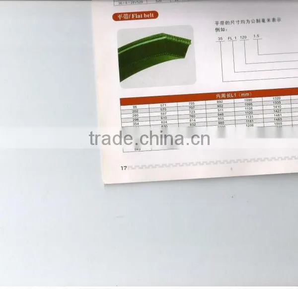 Nylon Flat Belts
