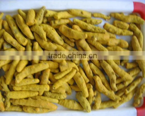Turmeric Finger