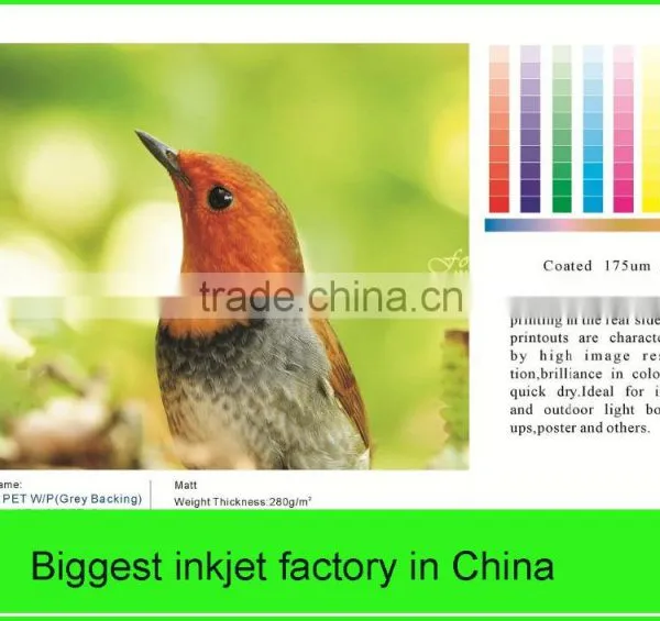 China Shanghai Factory Price Photoshop Printing Media Indoor and Outdoor Digital Inkjet Composite Media photo-2