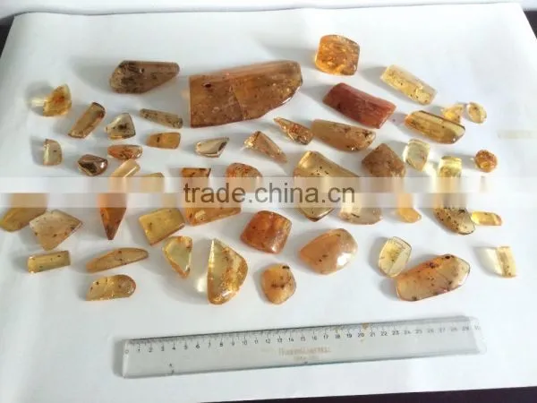 Colombian Amber (Copal) - Polished With Insects