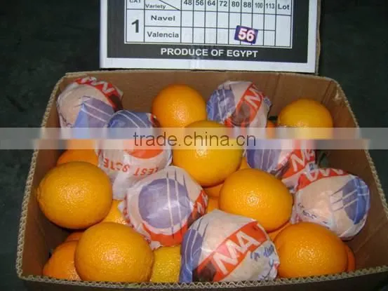 Fresh Valencia Orange photo-2