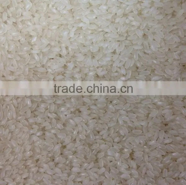 MEDIUM RICE BEST QUALITY photo-2