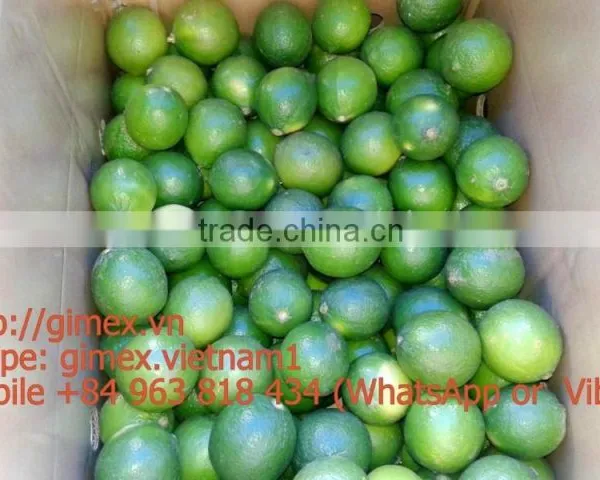 2015 New Fresh Lemon Vietnam photo-2