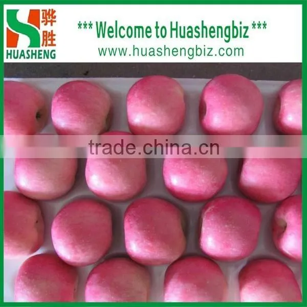 2016 Freshest Crop Fresh Fuji Apple photo-3