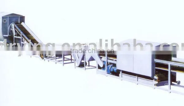 Vegetable Washing Machine