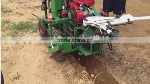 High Performance 2Cm Series Potato Planter/potato Seeder/Potato Plant Growth Regulator photo-5
