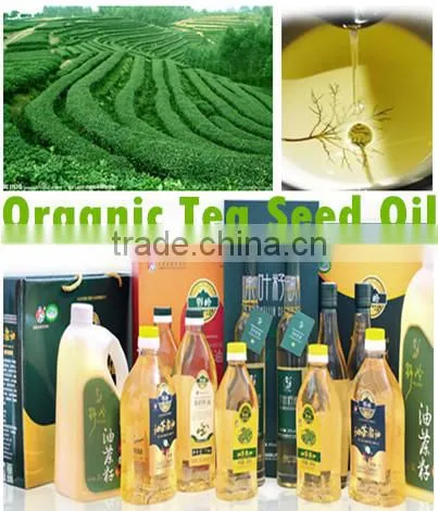 100% Wild, Pure and Organic Green Tea Seed Oil (Top Manufacturer) photo-2