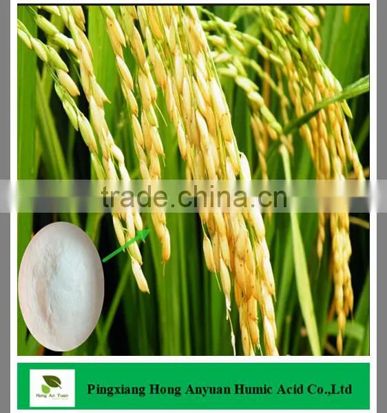 Making Potassium Nitrate KNO3 / Potassium Nitrate for Sale / Fertilizer Potassium Nitrate
