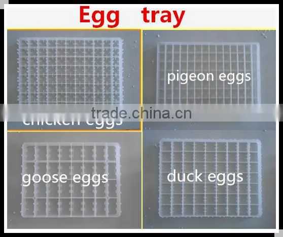 Incubator Supplier Egg Incubator Spare Parts Incubator Egg Trays for Sale photo-2