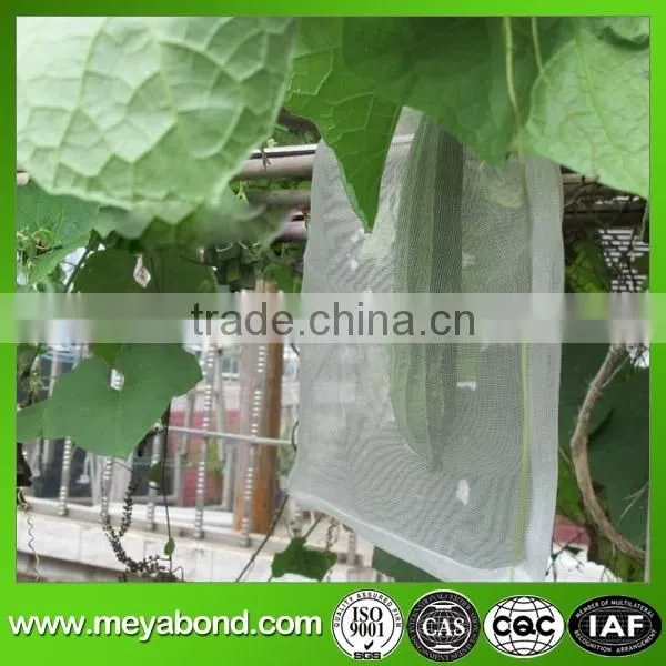 White Date Bags/HDPE Collect and Protect Dates Mesh Bag To USA photo-3
