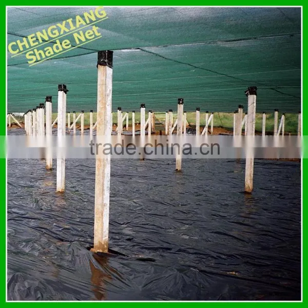 Green Color Agriculture Sun Shade Net photo-6