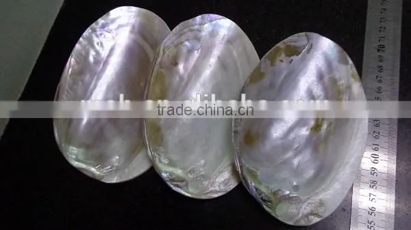 Wholesale Chinese Polished Raw River Shell photo-3