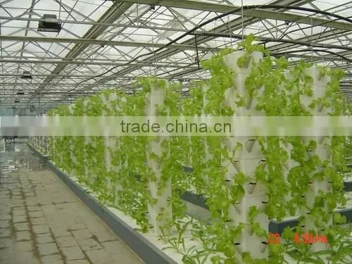 Greenhouse Farm for Sale photo-2