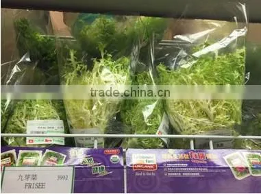 Automatic Pillow Water Convolvulus Vegetable Packing Machine photo-6