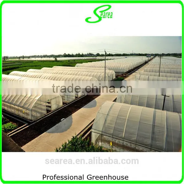 Plastic Arch Greenhouse for Sale From Big Greenhouse Manufacturer in China photo-5