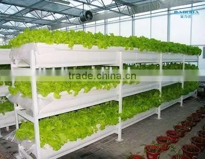 Hydroponic Greenhouse For Vegetable photo-2