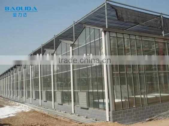 Hydroponic Systems Greenhouse photo-3