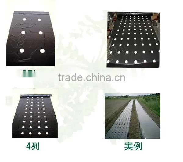 PE Agricultural Black Mulch Film With Different Holes photo-2