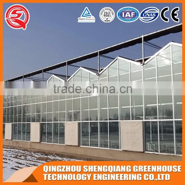 8mm Glass Greenhouse and Hot Dip Galvanized Frame for Sale photo-4
