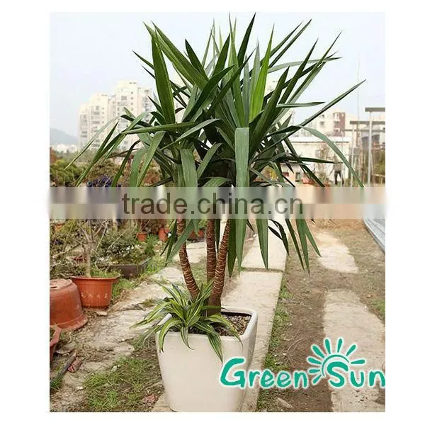 Hot Selling Diy Indoor Decoration Garden Planter Flower Pots photo-5