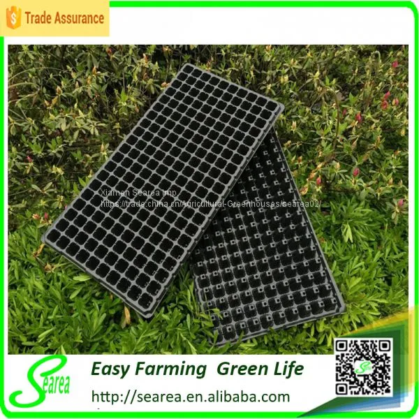 Plug Trays (Growing and Seedling) photo-3