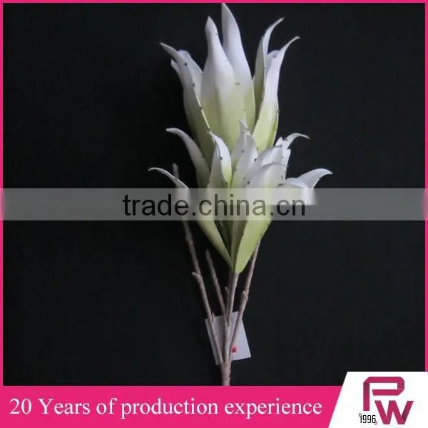 New Items 2016 Flowering Succulent Plants photo-3