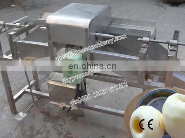 0086-18037101692 Fruit Peeling Machine_fruit Skin Remover_fruit and Vegetable Peeling Machine photo-5