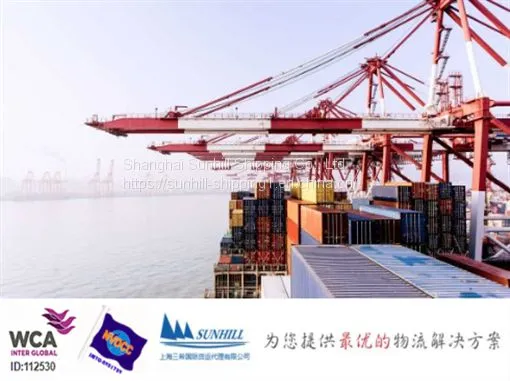 FUTONG PORT CONTAINER SHIPPING FREIGHT RATE INDONESIA LOGISTICS photo-2