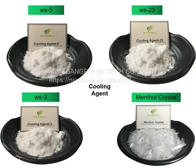 Kolada Ws-27 High Quality Cooling Feeling Coolant Use in Vape Liquid photo-5