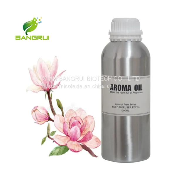 More Popular Perfume Essence Oil for Electric Aroma Diffuser Scent Machine photo-3
