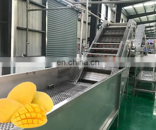 Mango Pulp Full Line Machine AutoOrange Mango Juice Liquid Washing and Filling Machine Line photo-5