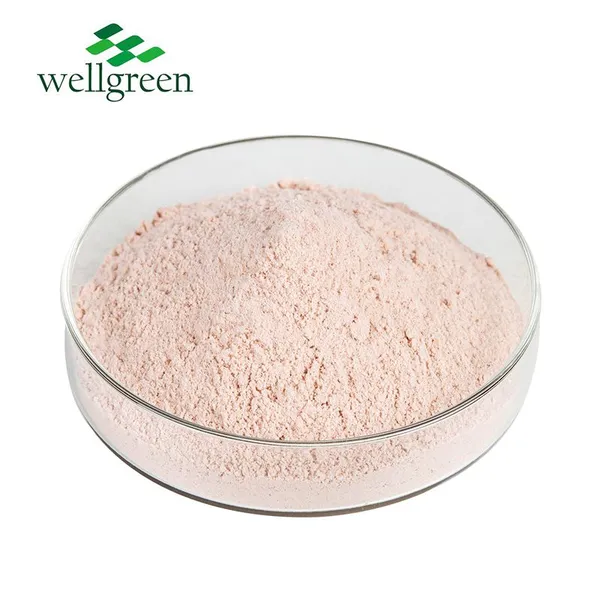 FREE SAMPLE Grapefruit Vegan Food Instant Freeze Dried Drink Concentrated Juice Grapefruit Powder photo-2